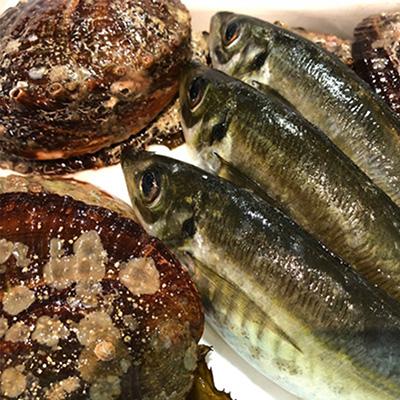 ふるさと納税 八幡浜市 八幡浜発!竹中水産の「アワビ三昧、中サイズ」400g(鯛もしくはアジとセット)【F22-215】 |  | 01