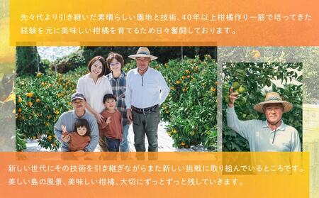 尾道発 厳選！柑橘定期便 全3回 はれひめ ハウスせとか ハウス不知火