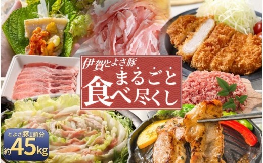 伊賀とよさ豚まるごと食べ尽くし/ 伊賀とよさ豚 豚肉 国産豚 伊賀産豚 まるごと 食べ尽くし 豚肉セット 肉 お肉 国産 豚ロース 豚バラ 豚モモ 肩ロース ロース バラ モモ 食べ比べ 焼肉 しゃぶしゃぶ すき焼き とんかつ 生姜焼き 肉料理 豚肉料理 お取り寄せ グルメ 冷凍 食品 自宅用 家庭用 ごちそう 伊賀 三重県産 豚 国産豚 豚肉セット 伊賀とよさ豚 肉 【cook0046】