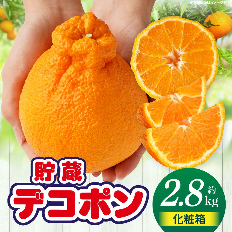 【ふるさと納税】貯蔵デコポン約2.8kg化粧箱(7～12玉)【香川県共通返礼品】 | デコポン 甘い 酸味 柑橘 柑橘系 果物 フルーツ 青果 デザート グルメ おすすめ 贈答 贈り物 贈答用 ギフト プレゼント 特産品 特産 取り寄せ 香川県 三木町 ふるさと 送料無料