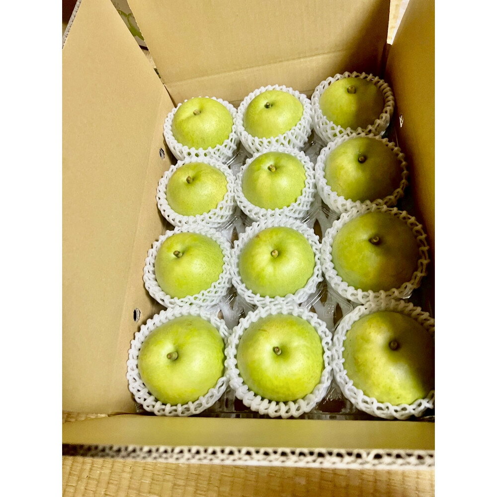 【ふるさと納税】1264.【2026年度発送先行予約】訳あり　二十世紀梨　5kg