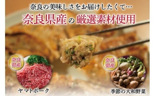 大和餃子 60個 冷凍 小分け 奈良 国産 大和豚 ヤマトポーク 大和野菜 餃子 ぎょうざ ギョーザ 豚肉 肉 お肉 家族 子ども 冷凍食品 弁当 おかず 中華 惣菜 グルメ 人気 おすすめ おいしい