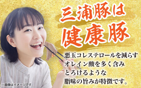 【3回定期便】 特盛三浦豚 1.6kg 豚肉セット / バラ ウデ モモ / 恵那市 / あづま精肉店 [AUDL006]