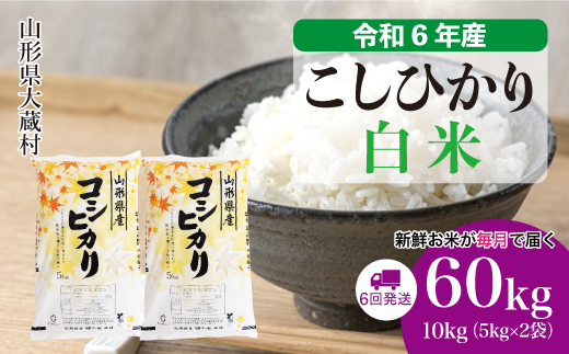 ＜令和6年産米＞ 令和6年11月下旬より配送開始 コシヒカリ【白米】60kg定期便(10kg×6回)　大蔵村