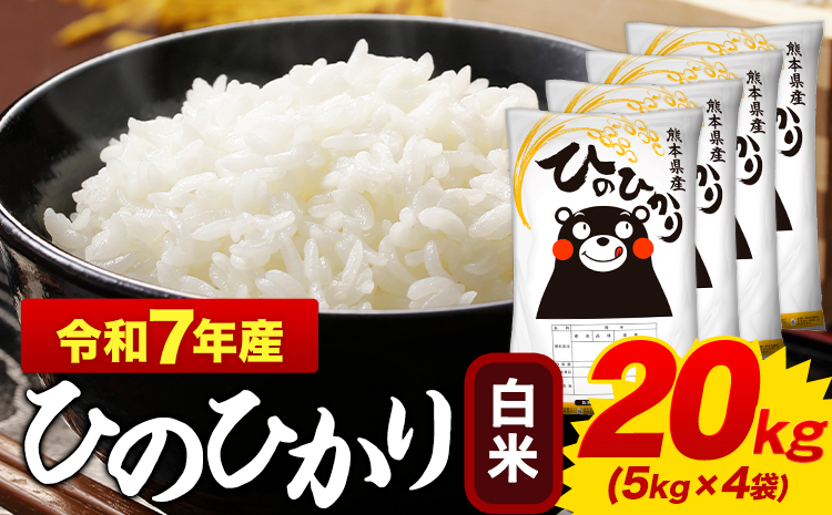令和7年産  白米 ひのひかり 20kg 熊本県産 ふるさと納税  白米 精米 《7-14日以内に出荷予定(土日祝除く)》 ひの 米 こめ ふるさとのうぜい ヒノヒカリ コメ お米 おこめ---mifune_lcl_1215_20kg---