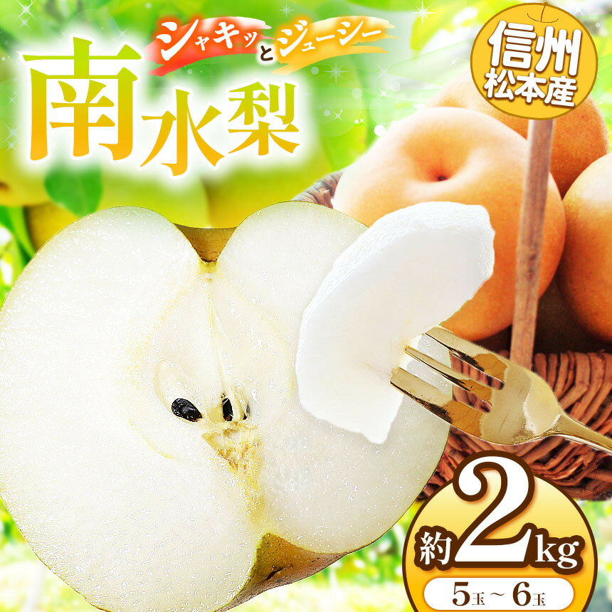 【ふるさと納税】【先行受付：2026年発送】信州松本産　南水梨　5～6玉約2kg │ 梨 なし ナシ 南水 南水梨 果汁 果物 秋 くだもの フルーツ 自然 旬 ご褒美 長野県 信州 松本 ふるさと納税
