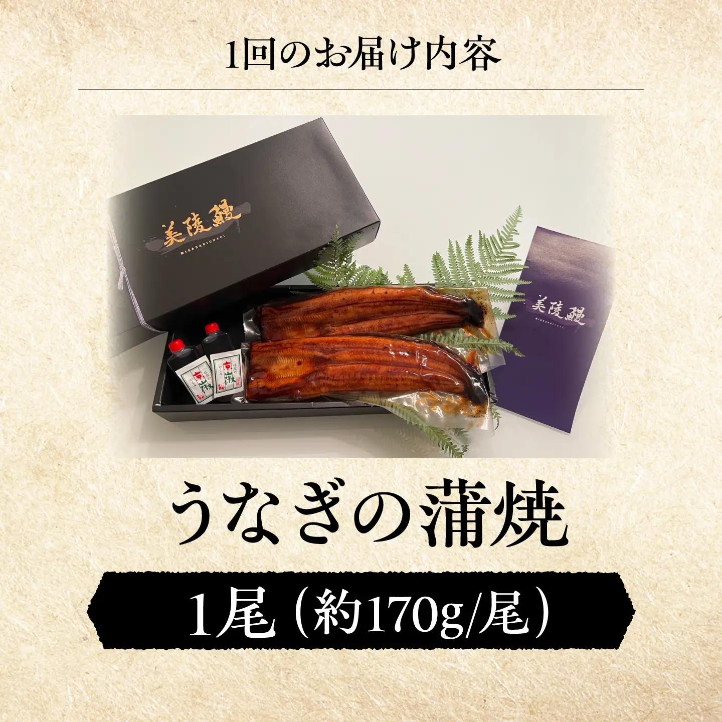 【全12回定期便】 鰻 鰻の蒲焼 1尾 / 美陵鰻 鰻 うなぎ ウナギ 蒲焼 蒲焼き かば焼き 白焼き 白焼 肉厚 うな重 うな丼 ひつまぶし おかず タレ 山椒 国産 スタミナ 土用 丑の日 土用の