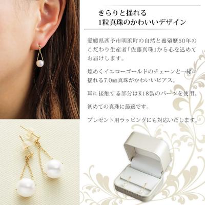 ふるさと納税 西予市 <真珠ピアス・トライアングル(イエローゴールド)>　パール　ジュエリー　アクセサリー　西予市　お祝い |  | 01