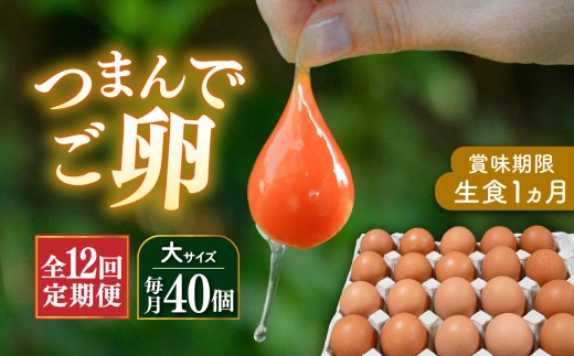 【全12回定期便】つまんでご卵 大サイズ 40個 平飼い卵 たまご 糸島 / 緑の農園 [AGA014] 鶏卵 玉子 タマゴ つまんでごらん 国産 新鮮 卵かけご飯 卵焼き