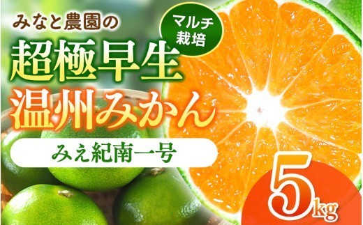 
                  【数量限定】みかん みなと農園のみえ紀南一号 (超極早生)  約5kg 2S～Lサイズ混合 マルチ栽培 【2026年9月中旬頃〜順次発送】 みかん ミカン 蜜柑 温州みかん 温州ミカン 柑橘 フルーツ 果物 くだもの 甘い 旬 人気 果汁 濃厚 ジューシー デザート 産地直送 農家直送 みかん 国産 お取り寄せ 新鮮 期間限定 季節限定 先行予約 おすすめ 三重県 熊野市【mntf0001】
                