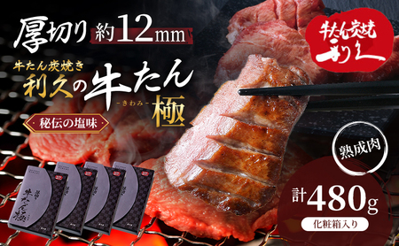 【特別寄附額】 牛タン 極 480g (120g×4個) セット 利久 牛たん 熟成肉 タン塩 厚切り牛タン 牛 牛肉 肉 お肉 タン タン中 タン元 厚切り 焼肉 焼き肉 惣菜 おかず ごはんのお供 ギフト プレゼント お中元 お土産 冷凍 冷凍配送 宮城 宮城県 岩沼市