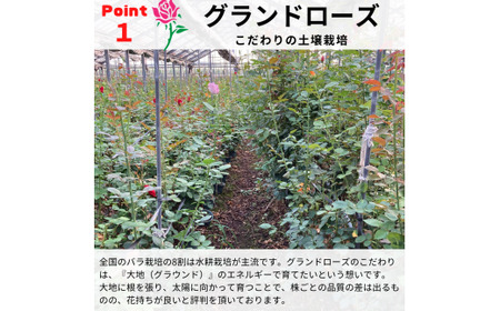 バラの花束 カジュアルブーケ 40本 バラ 薔薇 ローズ 母の日 結婚式 卒業式 花束 観賞用 ギフト プレゼント 贈り物 贈答用 自分用 誕生日 植物 花 フラワー 癒し フラワーバレンタイン はな