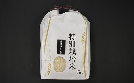 北海道浦河町の特別栽培米「悪魔ブレンド」精米(5kg×1袋)定期便(全6回)[37-1497]