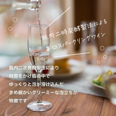 ふるさと納税 紫波町 紫波スパークリングワイン2本セット(白・ロゼ) |  | 01