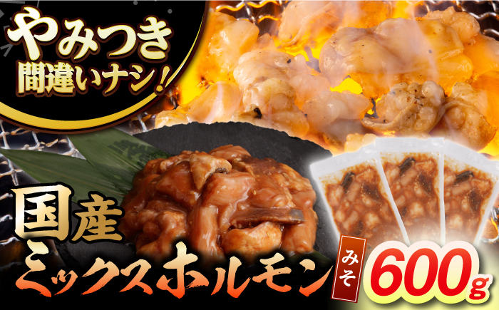 
                  【長崎和牛】ミックスホルモン（みそ） 200g×3袋 長与町/なかみ屋本舗 [EAD090] 国産 長崎和牛 和牛 ホルモン レバー ホルモンミックス 牛肉 ほるもん 冷凍 小分け 真空パック 味噌 味付き 味付け 焼肉 焼き肉 おつまみ
                