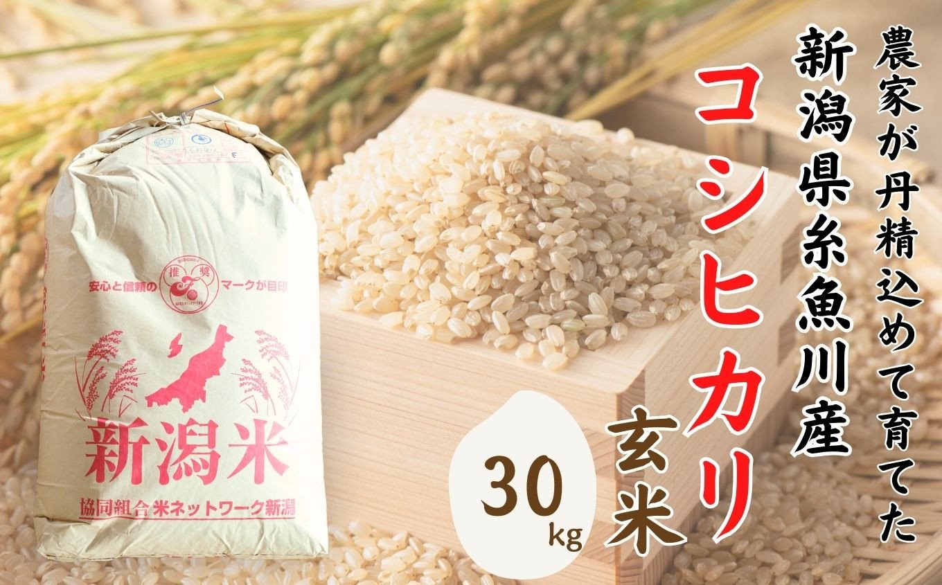 
                  【令和7年産】米 新潟県産 コシヒカリ 玄米 30kg 2025年産 精米対応不可 木島米穀店【米 お米 玄米 米 こめ コメ こしひかり ご飯 ライス ブランド米 新潟県 糸魚川産 2025年産 食品 人気 おすすめ 30キロ】
                