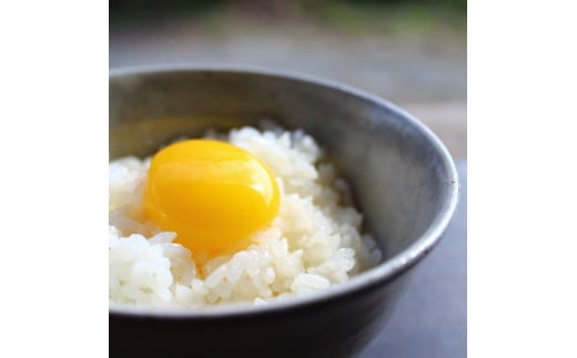 黄身のつまめる元気たまご50個（40＋割れ保障10個）[228]