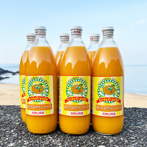 【和歌山県有田産】100%温州みかんジュース (970ml×12本セット)/ジュース みかん  【tss006A】