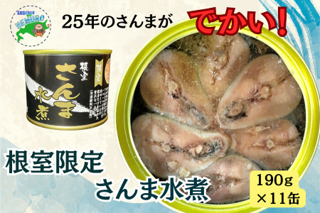 [12月21日決済分まで年内配送]【北海道根室産】さんま水煮11缶 F-78012
