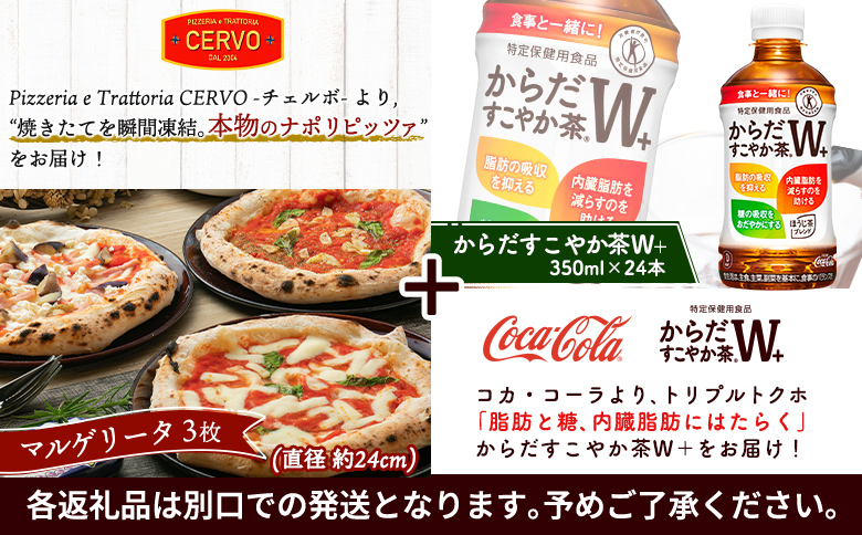 石窯ピッツァ 3枚 マルゲリータ からだすこやか茶 350ml 24本 コラボ 返礼品 ピザ 石窯ピザ ナポリピッツァ お茶 茶 トクホ 特定保健用食品 健康 ふるさと納税 北海道 恵庭市 恵庭【C9