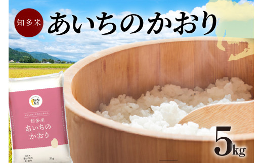 知多米　あいちのかおり5kg ／ お米 白米 うるち米 愛知県 特産品