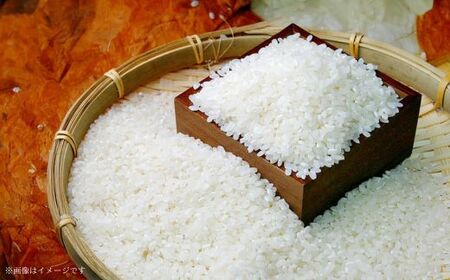 	《 令和7年産 》米 もちもちで上品な食感「一番星」精米5kg ／ 米 こめ コメ お米 おこめ 一番星 新米 白米 ごはん 令和7年産 5kg 茨城県 利根町 送料無料