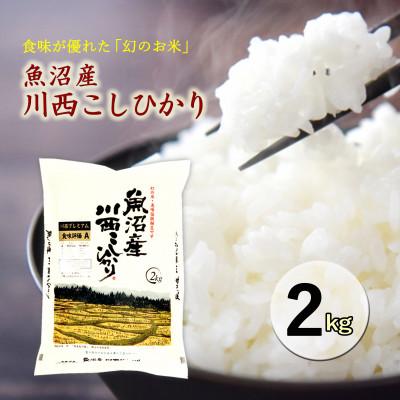 ふるさと納税 十日町市 【先行受付　10月下旬発送】新潟県魚沼産　川西こしひかり2kg　令和8年度産米