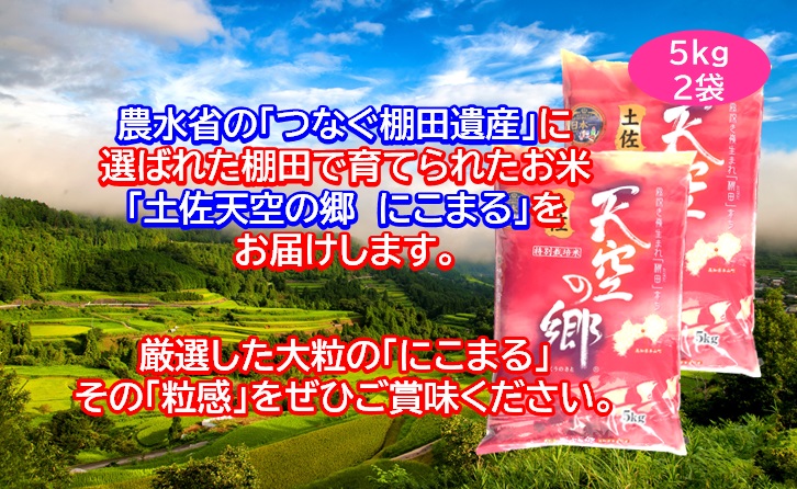 【新米予約】2010年・2016年 お米日本一コンテスト inしずおか 特別最高金賞受賞 土佐天空の郷 にこまる 10kg