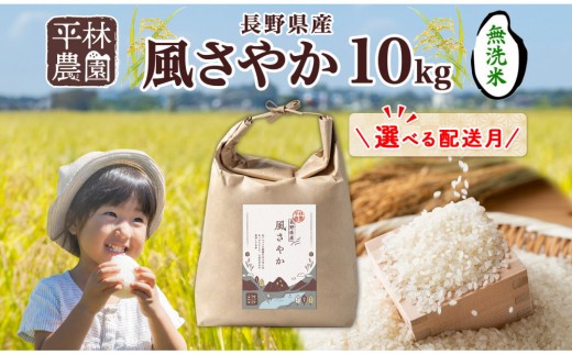 
                  【選べる配送月】令和8年産 風さやか 無洗米 10kg×1袋 長野県産 米 白米 精米 お米 ごはん ライス 甘み 農家直送 産直 信州 人気 ギフト 時短 お取り寄せ 平林農園 送料無料 長野県 大町市
                