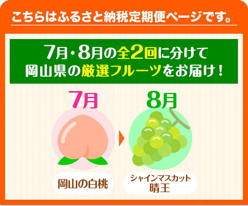 【先行予約】岡山の厳選フルーツ 定期便2回コース 岡山の白桃 6玉(1.6kg以上) シャインマスカット 晴王 2房(1房600g以上) 化粧箱入り ギフト 贈答用 旬 フルーツ 果物 株式会社山博(