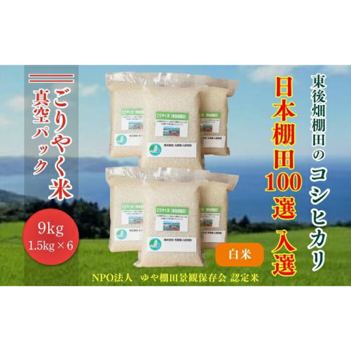 【ふるさと納税】令和7年度産 お米 米 こめ 白米 新米真空パック こしひかり コシヒカリ 精米 9kg ごりやく米 「東後畑棚田こしひかり」 白米9kg (白米真空パック1.5kg×6個) 真空パック 真空 おにぎり 棚田 棚田米 長門市 小分け (1350)