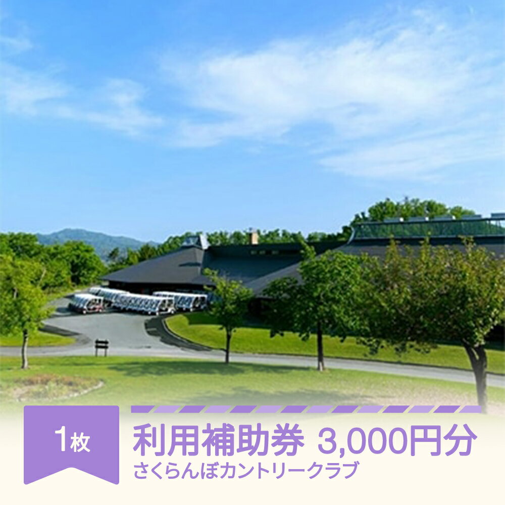 【ふるさと納税】さくらんぼカントリークラブ ゴルフプレー利用補助券 3000円分 ゴルフ ゴルフ場 大自然 ゴルフ練習 ギフト