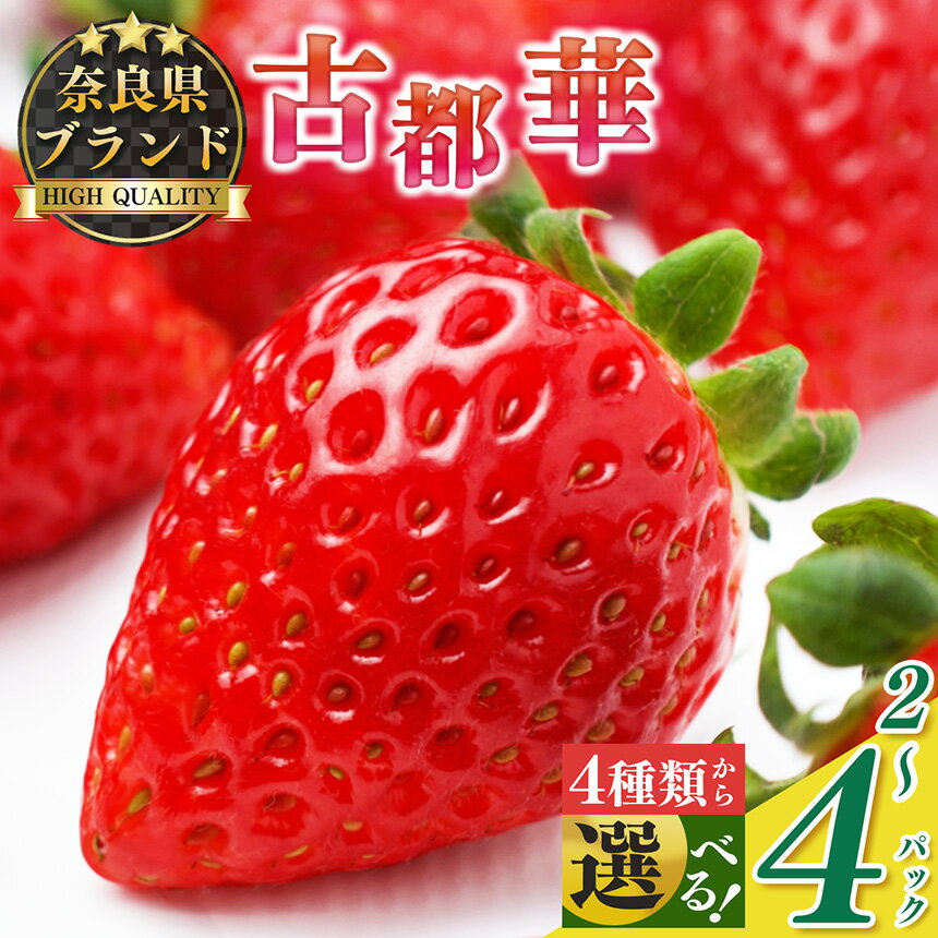 【ふるさと納税】【選べる内容量】平群の古都華 M～3Lサイズ 1～2ケース （2～4パック） | 先行予約 フルーツ 果物 くだもの ブランド いちご 苺 古都華 ことか 品種 特徴 糖度 ルビー色 旬 ふるさと納税 奈良県 平群 町