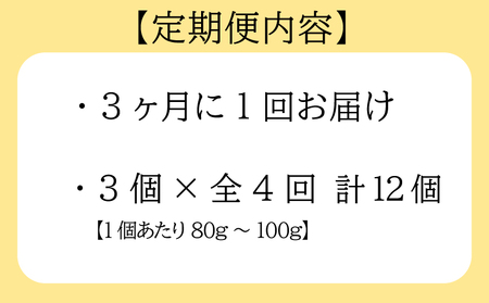 【3ヶ月毎定期便】 平貝 (タイラギ) 全4回 3個×4回 12個 冷凍 平貝 タイラギ 貝 魚貝類 魚貝 パスタ お刺身 フライ 揚げ物 料理 ごはん おかず お酒 晩酌 人気 おすすめ 愛知県 南