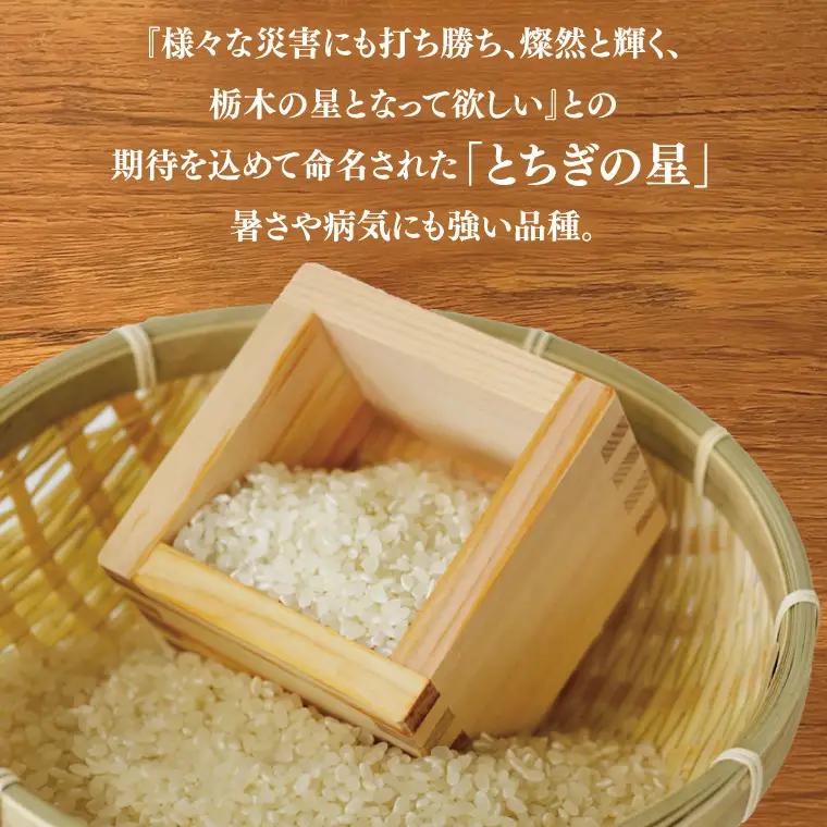 ＼先行予約・11月より順次発送・令和8年産／★令和8年産★ とちぎの星　白米5kg (AU023-ss-11)