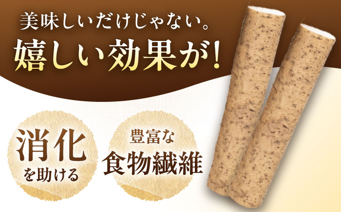 自然薯の味噌漬け・しょう油漬けセット 160g　（80g×2）/ 自然薯 漬けもの 味噌漬け 醤油漬け / 恵那市 / 水戸屋 [AUFZ013]