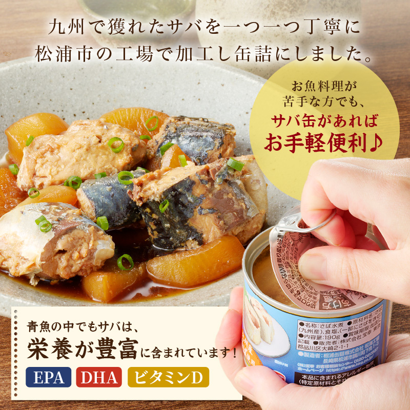 さば水煮缶セット(12缶)【B2-108】 サバ さば 鯖 缶詰 非常食 保存食 海鮮 さば缶 肴 おかず 栄養 健康