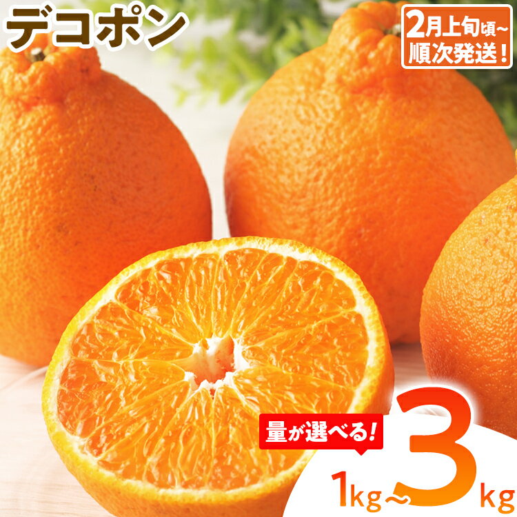 【ふるさと納税】期間限定 デコポン フルーツ 果物 くだもの 選べる 1kg 3kg 柑橘 甘い 濃厚 ジューシー 産地直送 デザート おやつ オレンジ 福岡県 福岡 九州 グルメ お取り寄せ 【2月上旬頃から順次発送】