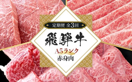 【全３回定期便】飛騨牛 A5 赤身 全3回 900g（焼肉 すき焼き ステーキ）【飛騨牛 和牛ブランド 飛騨牛 黒毛和牛 飛騨牛 岐阜 大野町 飛騨牛】