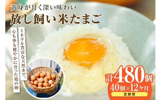 【12か月定期便】放し飼い米たまご35個+5個保証（計40個）