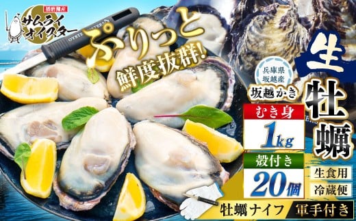 牡蠣 生食 坂越かき むき身 500g×2、 殻付き 20個