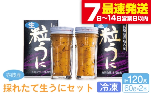 生ウニ 2本セット 60g×2本セット《壱岐市》【本尾海産】[JAR003] 冷凍 ミョウバン不使用 紫うに 生うに ウニ うに 雲丹 ムラサキウニ 紫ウニ uni 瓶 瓶詰め 贈答 のし プレゼント ギフト 自宅用 おつまみ 肴 冷凍配送