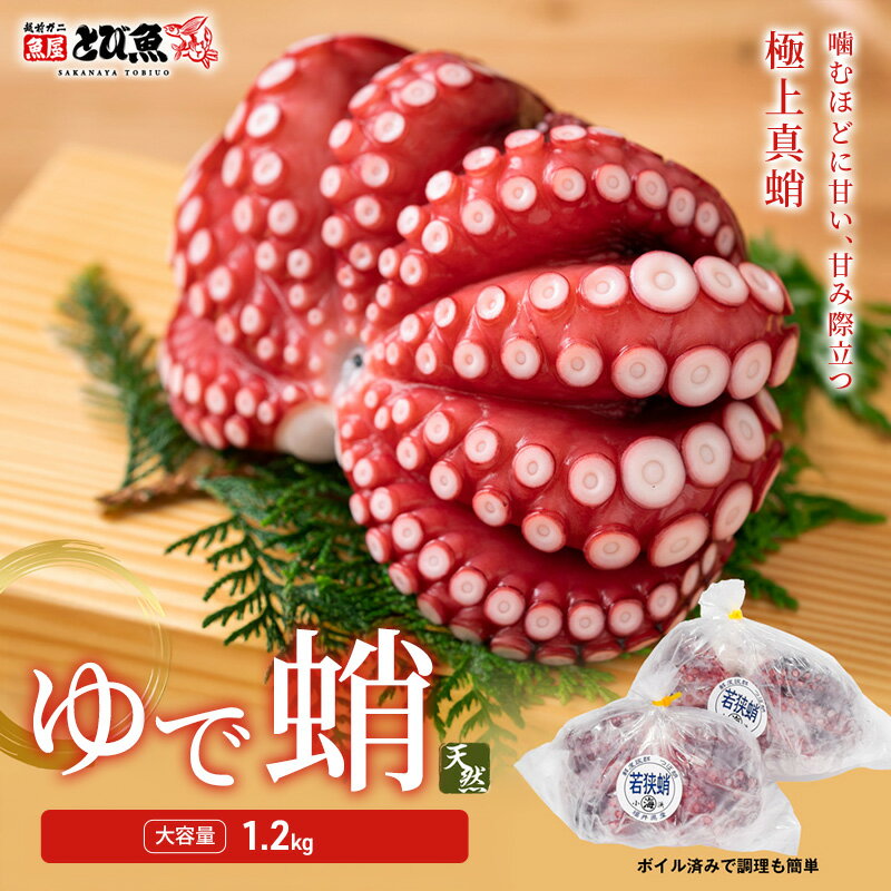 【ふるさと納税】タコ 茹でまだこ 1.2kg 2～3杯 大容量 福井県産 ボイル 魚介 魚介類 海鮮 国産 若狭湾 マダコ ボイル済み お刺身 酢の物 サラダ たこ焼き たこ飯 唐揚げ 福井 福井県若狭町