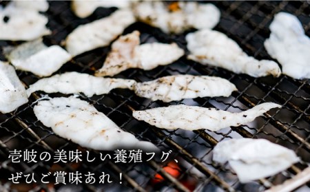 【全2回定期便】壱岐産 とらふぐ 焼きふぐ 240g（40g×6P）希少部位とおとうみ付 [JDT074]