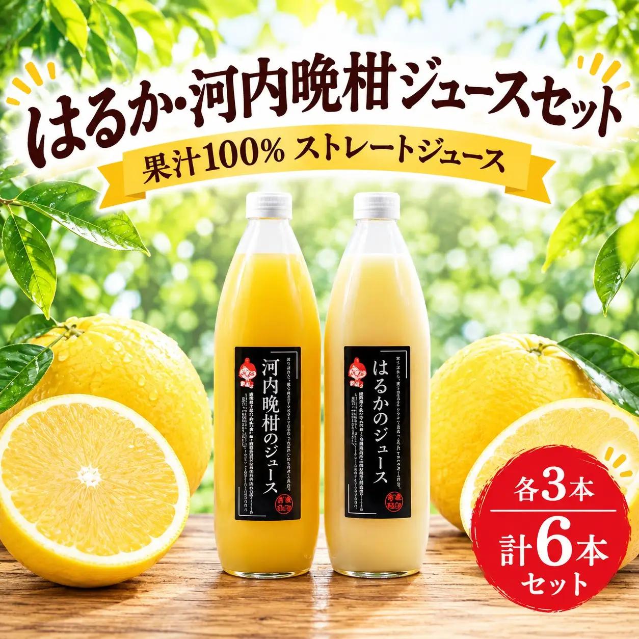 果汁100% ストレートジュース はるかジュース 河内晩柑ジュース 各3本 計6本 セット (1000ml×6本) 18000円 数量限定 期間限定 高級 贈答 ギフト プレゼント 母の日 おやつ 国産 フルーツ 果物 柑橘 産地直送 農家直送 特産品 完熟 濃厚 人気 限定 甘い こどもの日 ジューシー 新鮮 果実 さわやか 愛媛県 愛南町 あいなんマザーズ 