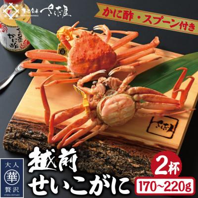 ふるさと納税 越前町 浜茹で越前せいこがに約170〜220g2杯　かに酢&amp;かにスプーン付き