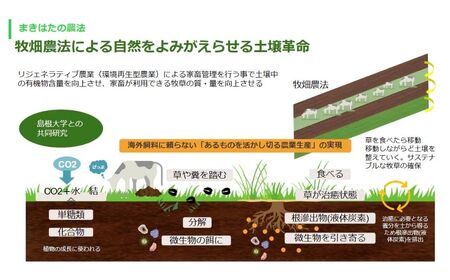 まきはた牛乳工房 バター(150g×2個セット) 【乳製品 バター 発酵バター 自家製 自家製乳酸菌 海士町】