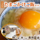 【ふるさと納税】卵 10個 かぐやひめ 米 1kg 専用醤油 セット 国産 福岡上毛町産 鶏卵 地鶏の卵 放し飼いたまご 生卵 上毛米 お米 たまごかけご飯 とろける コク 旨み 炊きたてのご飯 卵黄 卵白 お取り寄せ グルメ 食品 食べ物 ご飯のお供 冷蔵 福岡県 上毛町 送料無料