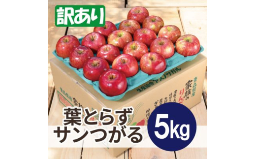 ＜2026年9月発送予定＞平均糖度12度以上! 葉とらずサンつがる 約5kg 訳あり【1607055】