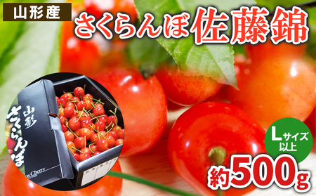 さくらんぼ 佐藤錦 L以上 約500g【令和8年産先行予約】FS25-058